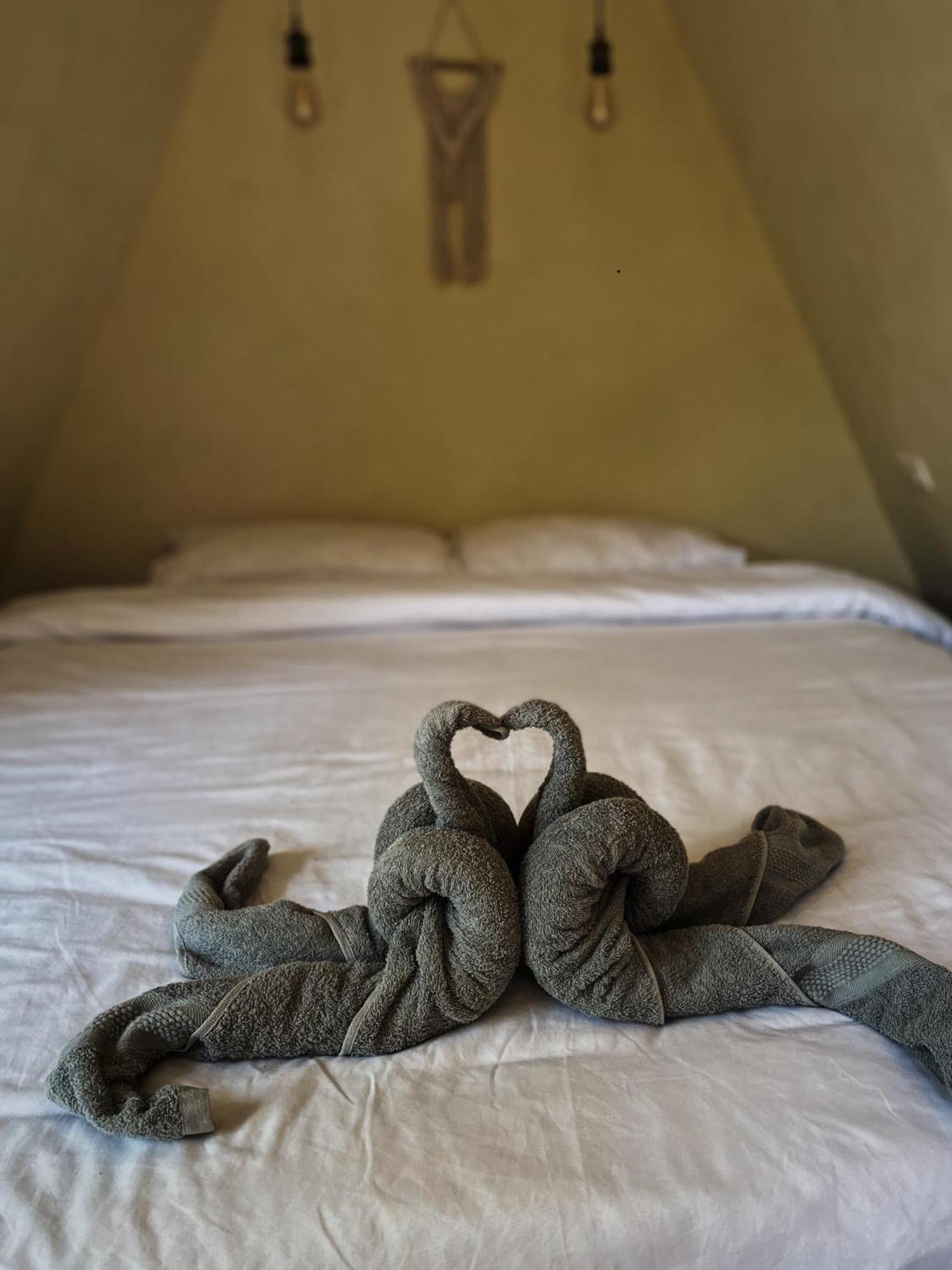 Basa-Basi Lodge Karimunjawa Ngoại thất bức ảnh